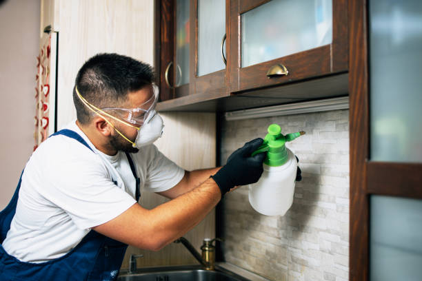 Best Residential Pest Control  in Walkersville, MD