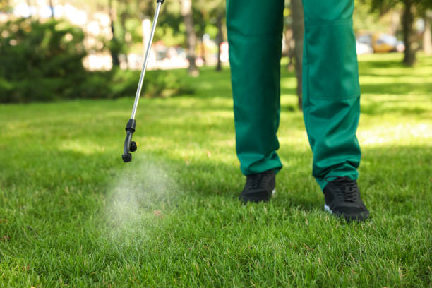 Best Termite Control Services  in Walkersville, MD