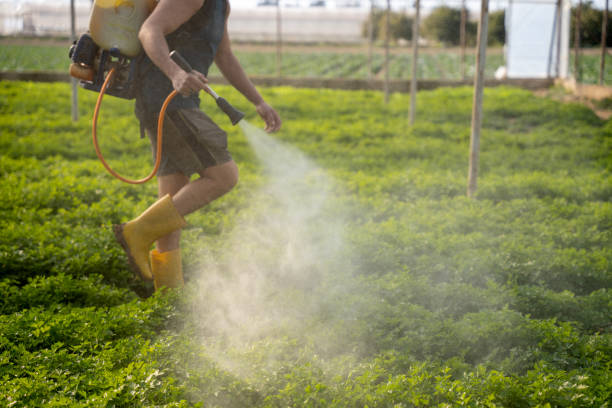 Pest Control for Restaurants in Walkersville, MD