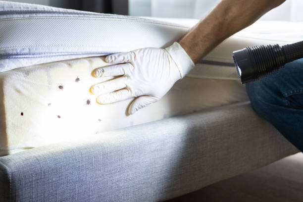 Best Best Pest Control Companies  in Walkersville, MD