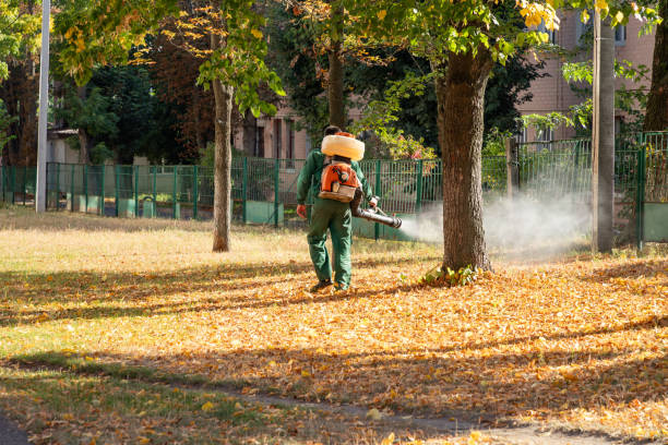 Best Local Pest Control Services  in Walkersville, MD