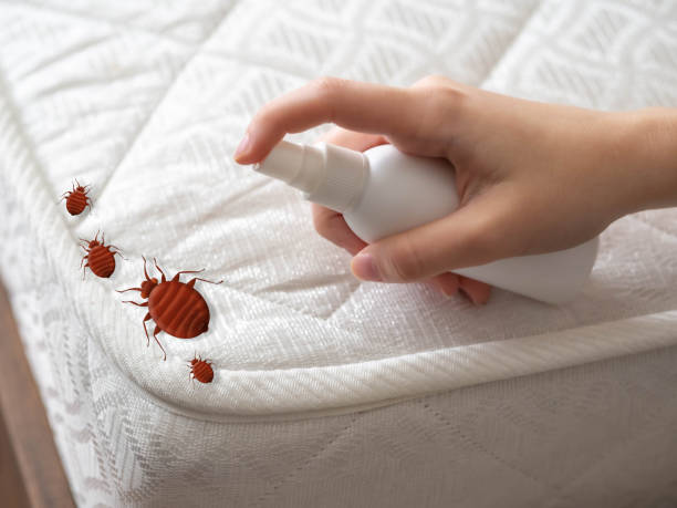 Best Bed Bug Extermination  in Walkersville, MD
