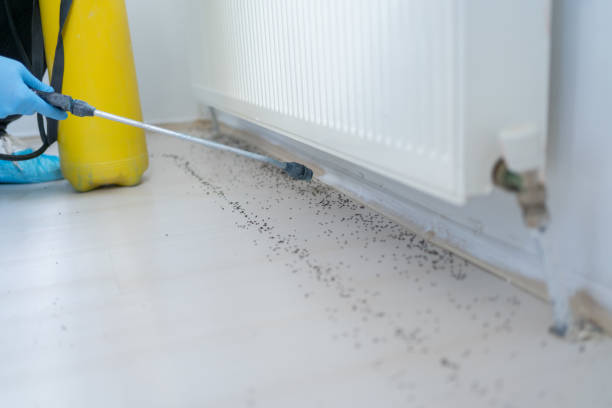 Walkersville, MD Pest Control Company