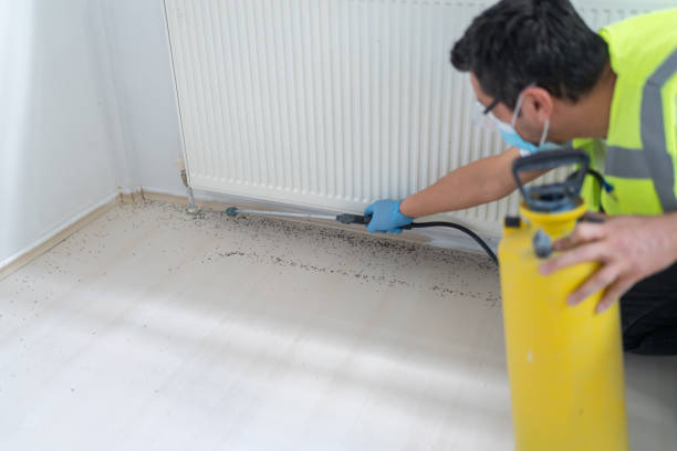 Best Pest Control for Restaurants  in Walkersville, MD