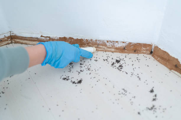 Pest Prevention Services in Walkersville, MD