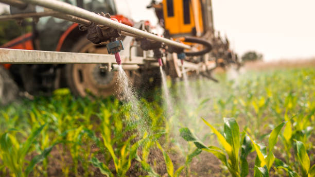 Pest Control Cost in Walkersville, MD