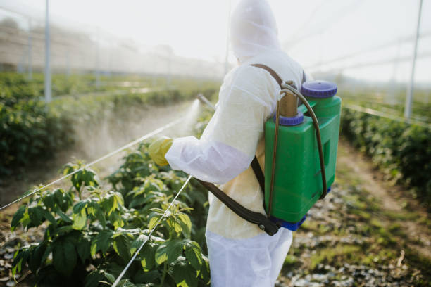 Best Ant Control Services  in Walkersville, MD